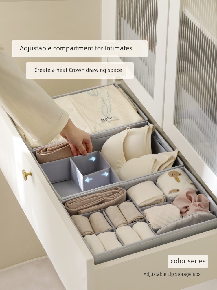 Tiantong Socks Panties Storage Box Bra Intimates Finishing Box Personal Clothing Storage Fantastic Wardrobe Drawer Divider