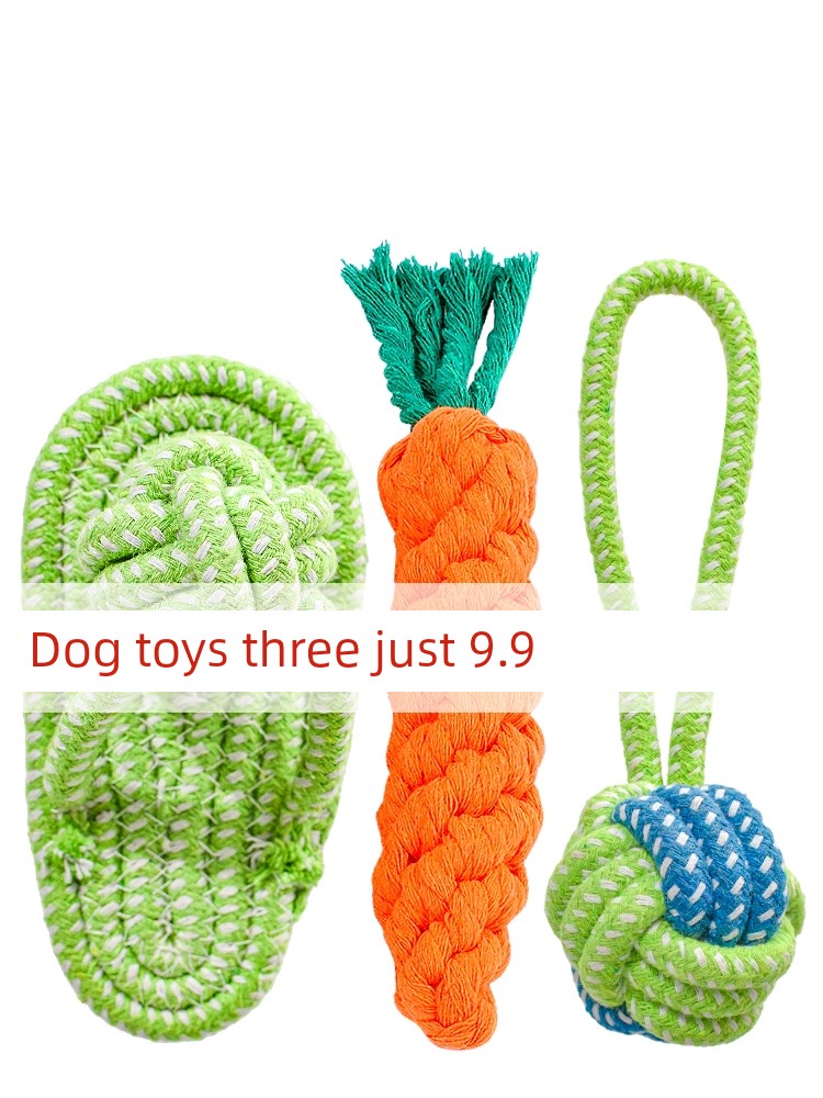 Medium Large Dog Teddy Bichon Pet Supplies Dog