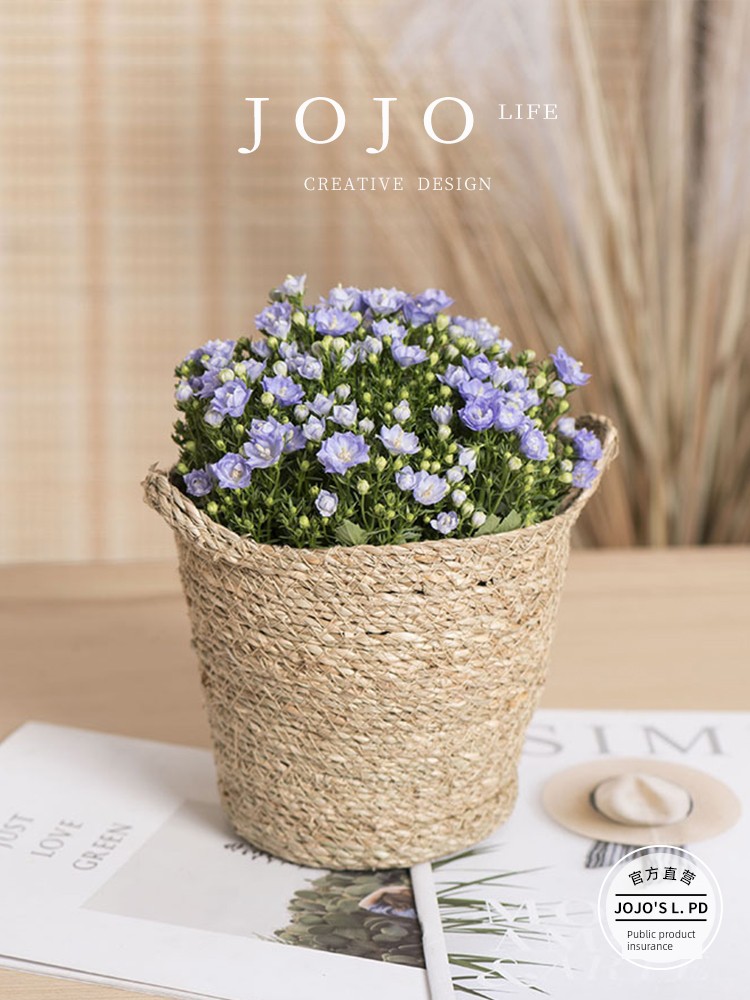 Jojo's L. Pd. Mr. Grocery. Grass Strings Flower Pot Hand-Woven Decorative Flower Pot Straw Woven | Cancel