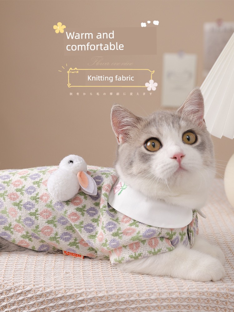 Cat Clothes Winter Anti-Lint Kitten Pet Fall and Winter Ragdoll Cat Short Foot Silver Gradual Layer Kittens Winter Winter