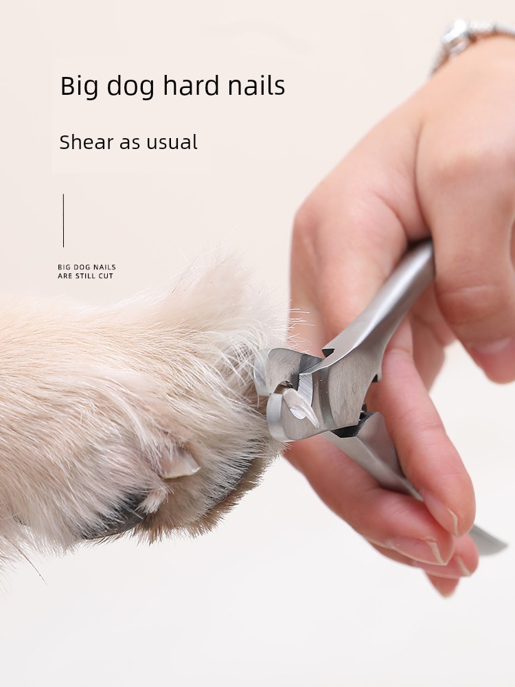 All Stainless Steel Pet Nail Clipper Large Dog Cat Paw Trimming Pliers Dog Special Nail Piercing Device Scissors Supplies