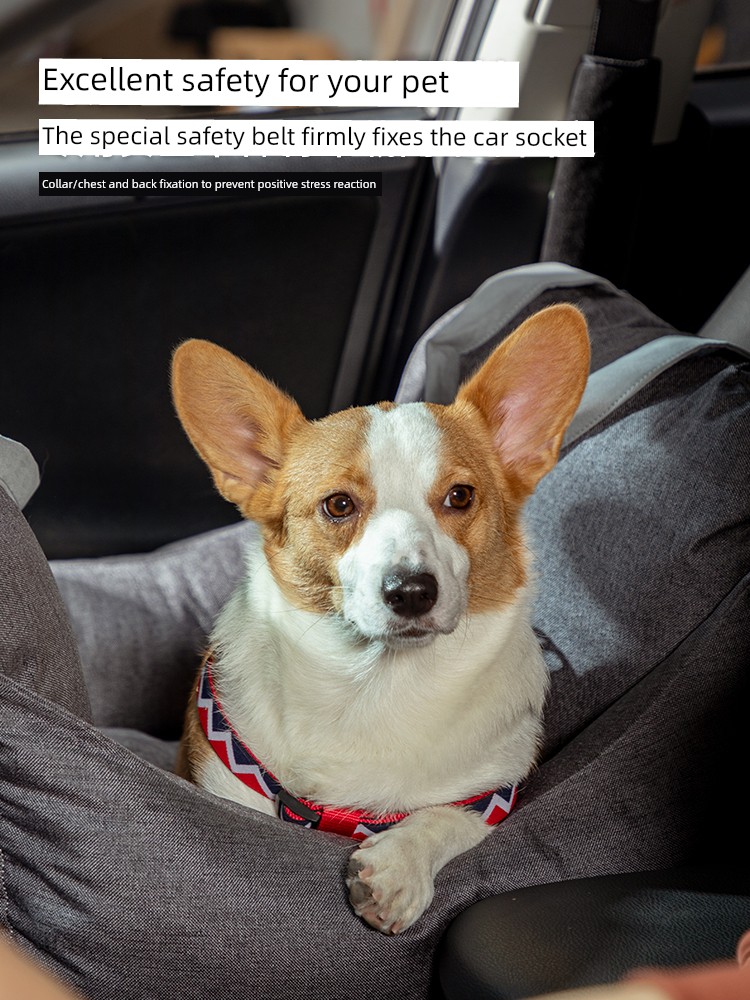 Hidream out Автомобильное безопасное сиденье для переноски