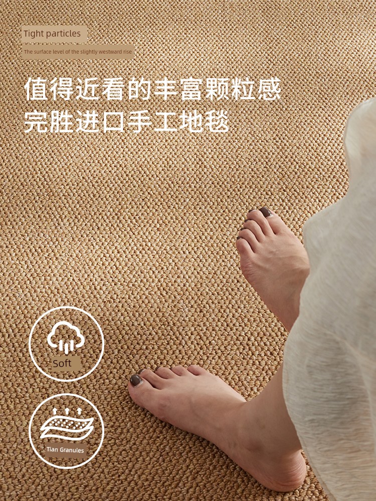 Japanese Style Tea Room Carpet Living Room 2025 New Arrival Studio Sofa Bedroom Bedside Bay Window Cat Scratch Board Floor Mat Photography