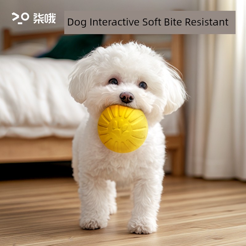 Toy Ball Bichon Puppy Relieving Boredom Handy Gadget Interactive Dog
