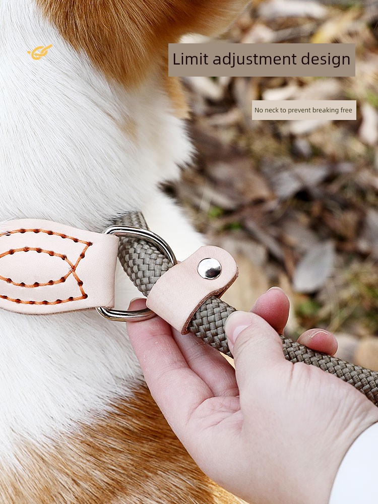Collar Medium Size Explosion-Proof Corgi Dog Hand Holding Rope