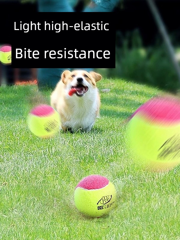 Self-Hi Relieving Stuffy Border Collie Golden Retriever Corgi Bite-Resistant Ball Dog