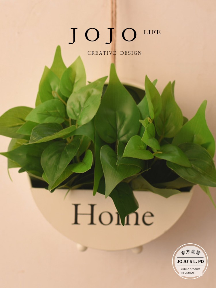 Jojo's L. Pd. Mr. Grocery. Decorative Flower Basket Wall-Mounted Room Wall-Mounted Wall Decoration | Jinhong