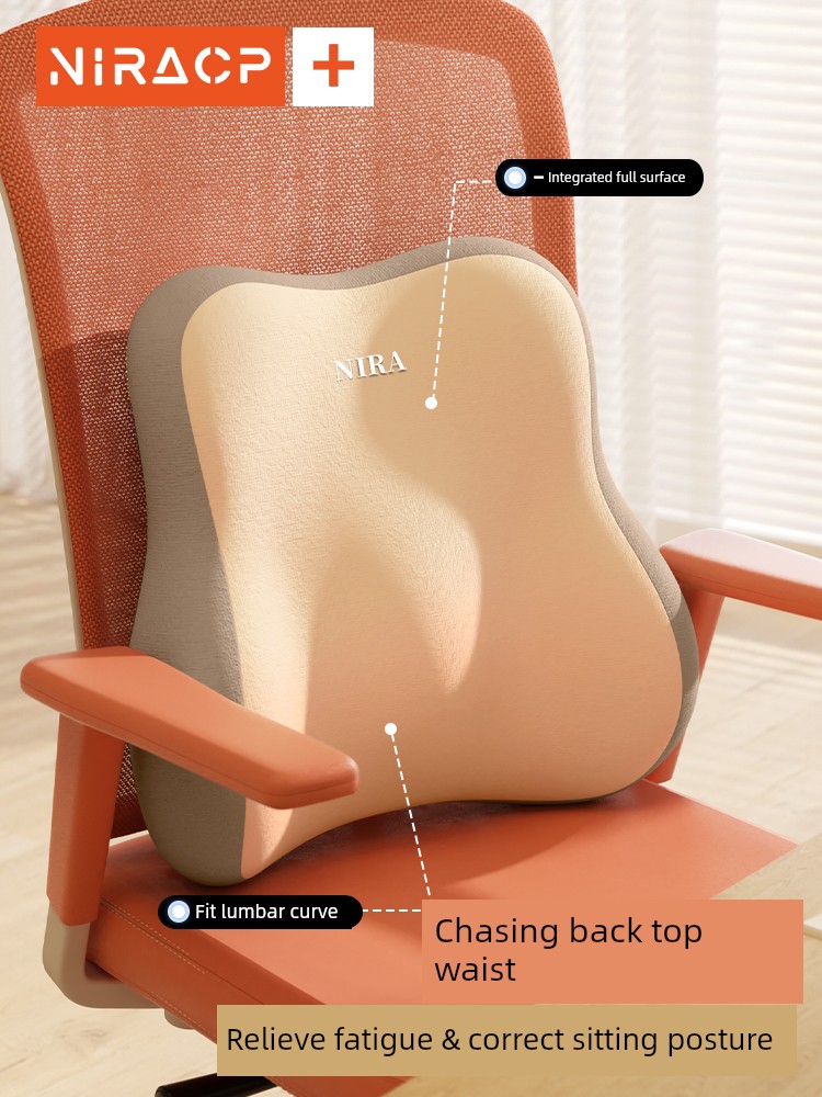 Seat Station Dedicated Long-Sitting Handy Gadget Lumbar Support Backrest