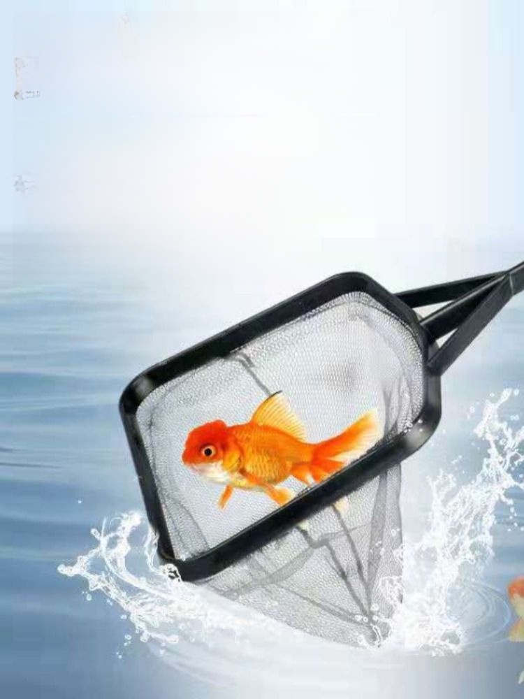 Fish Tank Fish Catching Aquarium Box All Products Small Fishing Net Bag Ornamental Fish Harvest Shrimp Skimmer Dense Net