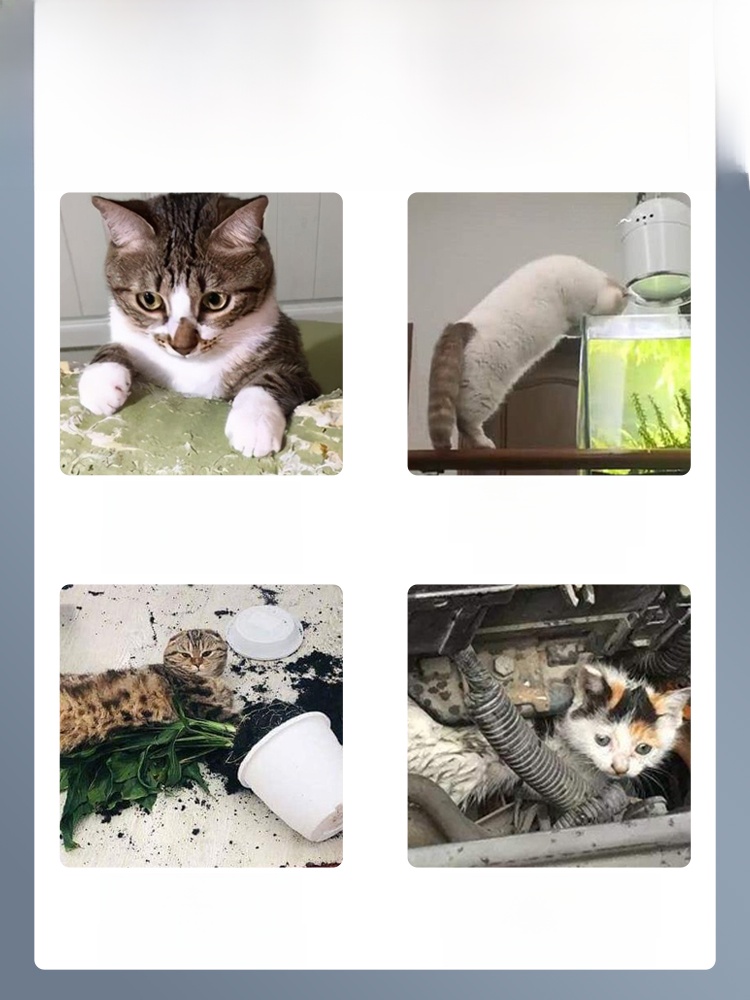 Anti-Cat Studs Drive Cat Thorn Mat Anti-Scratching Door Cat Climbing on the Table Bed Messy Urine Handy Gadget Dog Sofa Restricted Area Protection