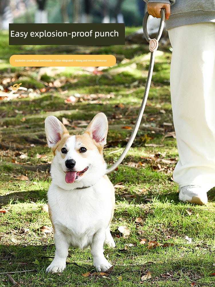 Collar Medium Size Explosion-Proof Corgi Dog Hand Holding Rope