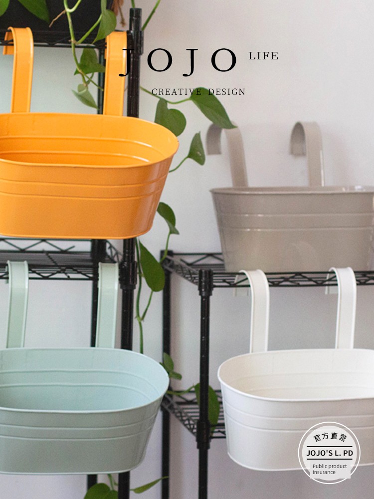 Jojo's L. Pd. Vocabulary. Double Hook Removable Oval Flower Pot Hook Iron Sheet | Zhou Gong