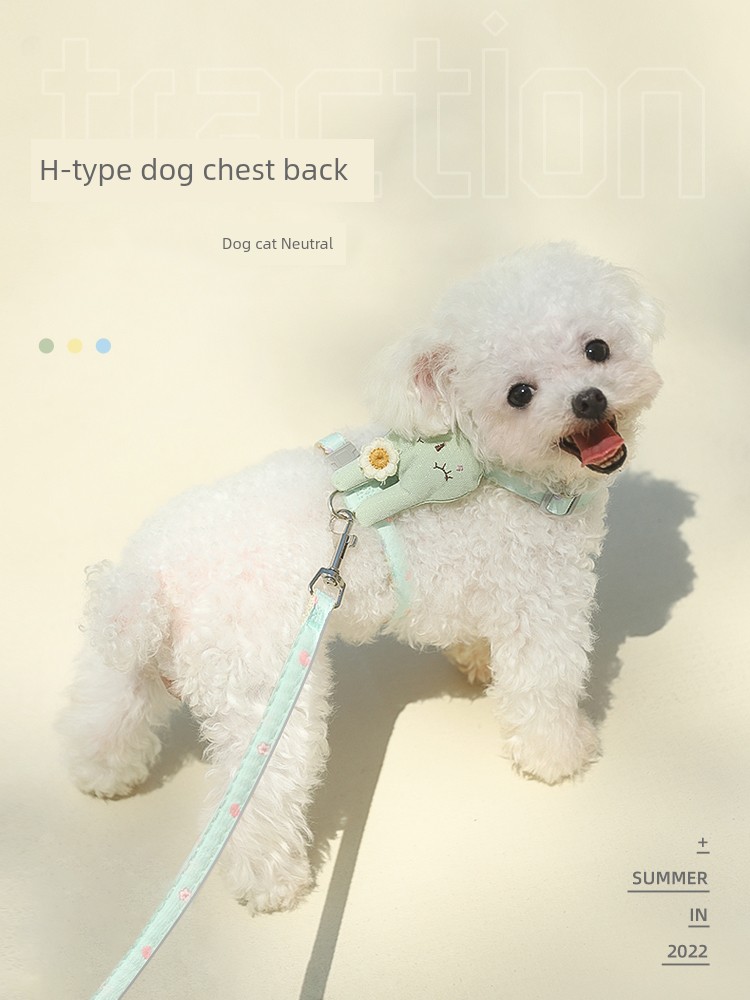 Internet Celebrity Teddy Puppy Chest Strap Dog Hand Holding Rope
