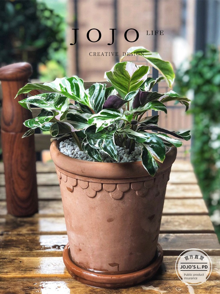 Jojo's L. Pd. Field. Roman Lace round Cement Flowerpot Breathable Green Plant Pot Scandinavian | Venue