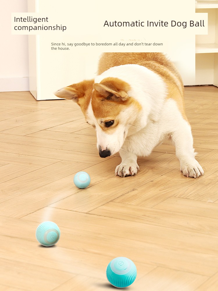 Funny Dog Teddy Pomeranian Pet Dog Automatic Toy Ball
