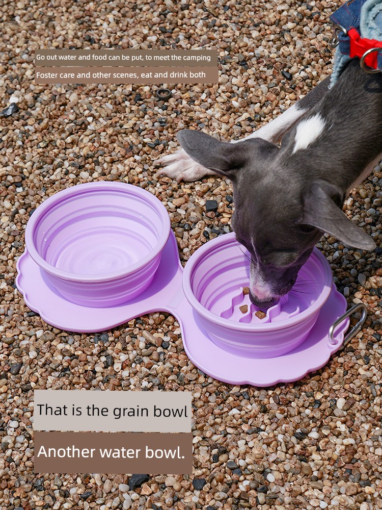 Zeze Silicone Foldable Protection Cervical Spine Cat Pet Bowl