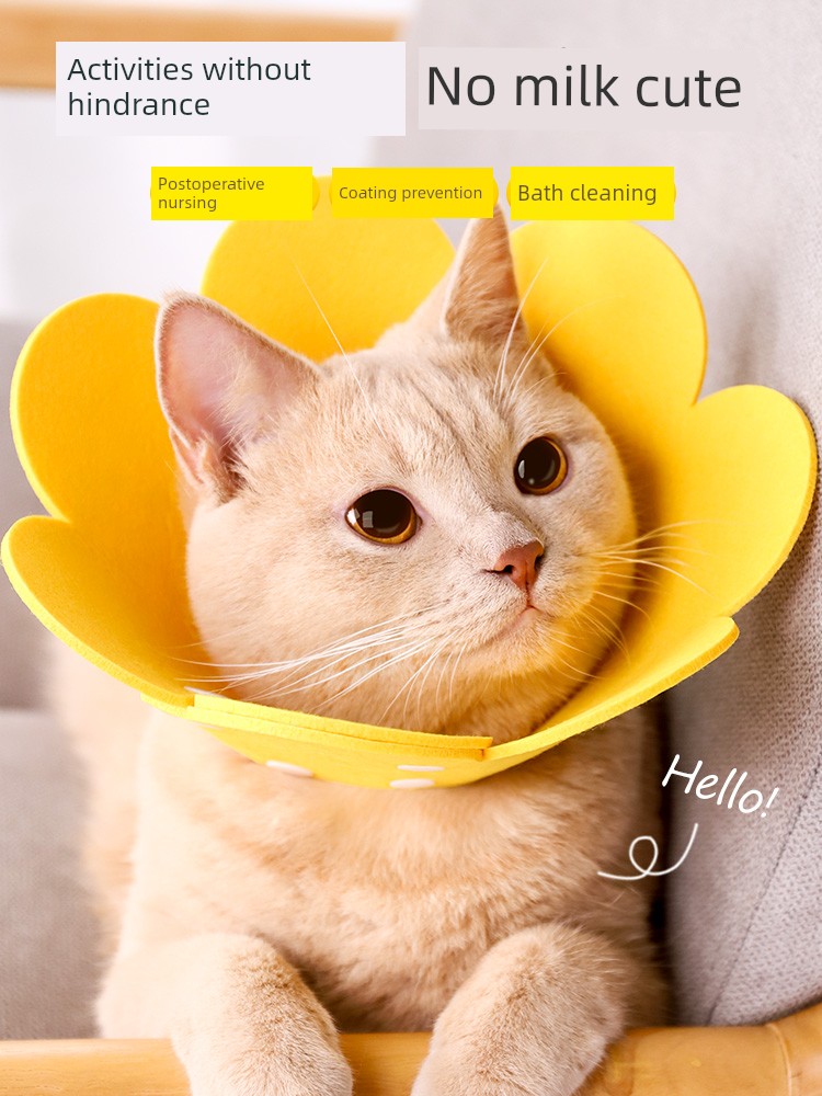Elizabeth Ring Cat Sterilization Collar Elizabeth Circle Anti-Licking Collar Head Cover Dog Collar Pet Supplies