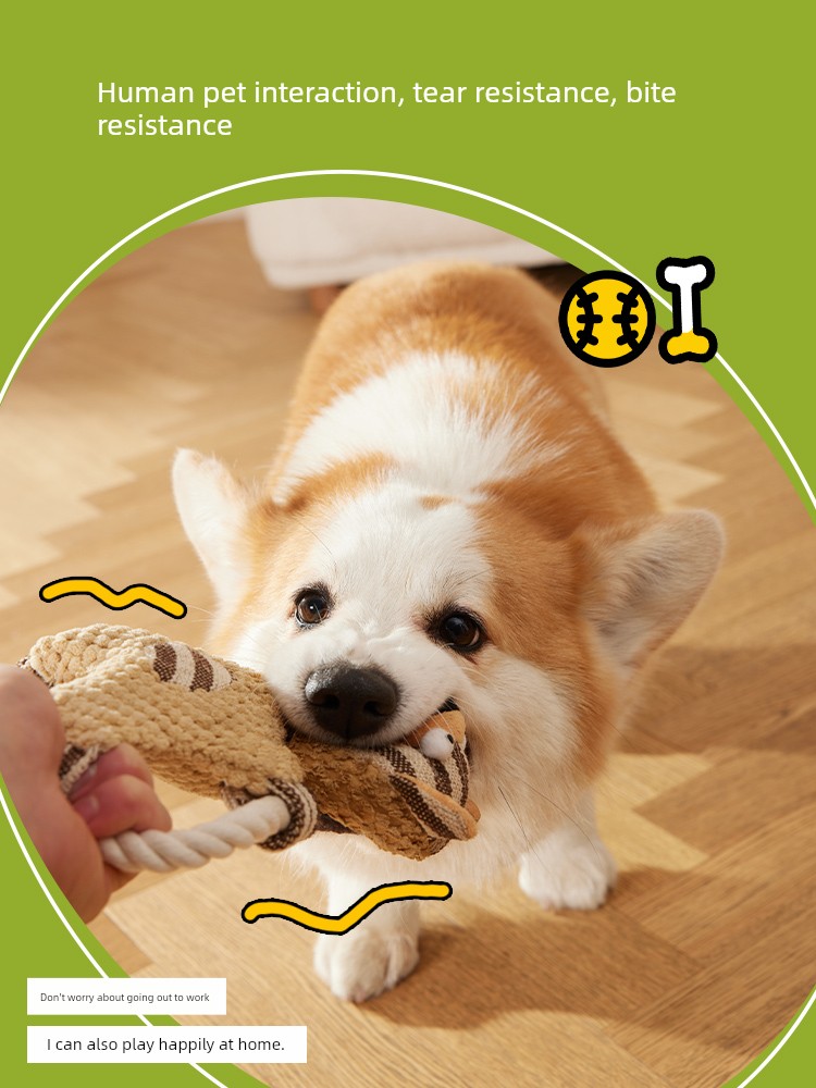 宠物耐咬磨牙玩具，适合各种犬种