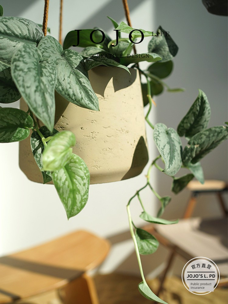Jojo's L. Pd. Pear. Cement Hanging Flower Pot Hanging Plant Hanging Basket Wall Hanging Hanging Pots | Balsam Pear