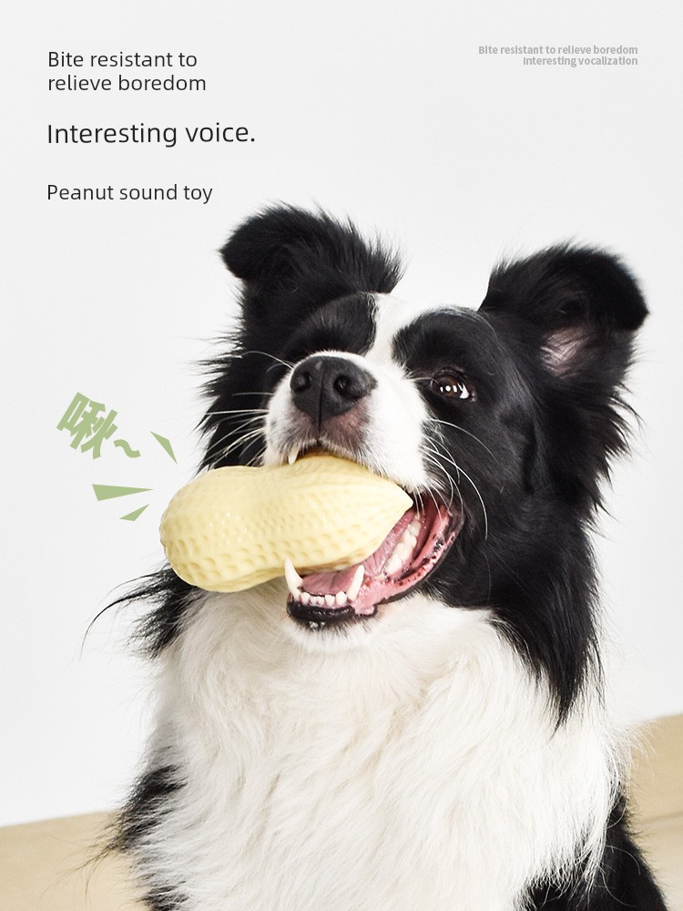 Dog Toy Bite-Resistant Molar Vocal Ball Peanut Relieving Stuffy Handy Gadget Puppy Corgi Big and Small Dogs Pet Dog Supplies