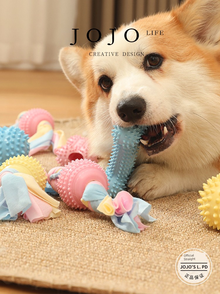 Jojo's L. Pd. Wings. Dog Molar Toy Small and Medium-Sized Dogs Puppy Big Dog Bite-Resistant | Youyi