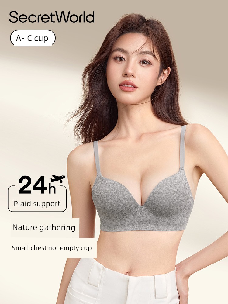 Secret World Intimates Female Push up Small Size Breast Holding Push up Anti-SAG 2025 New Arrival Best Selling Bra