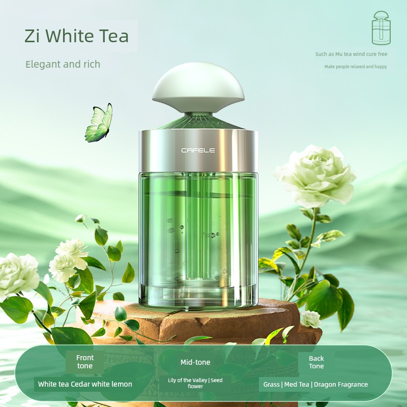 Tesla Aromatherapy Diffuser for Women | Car Decor