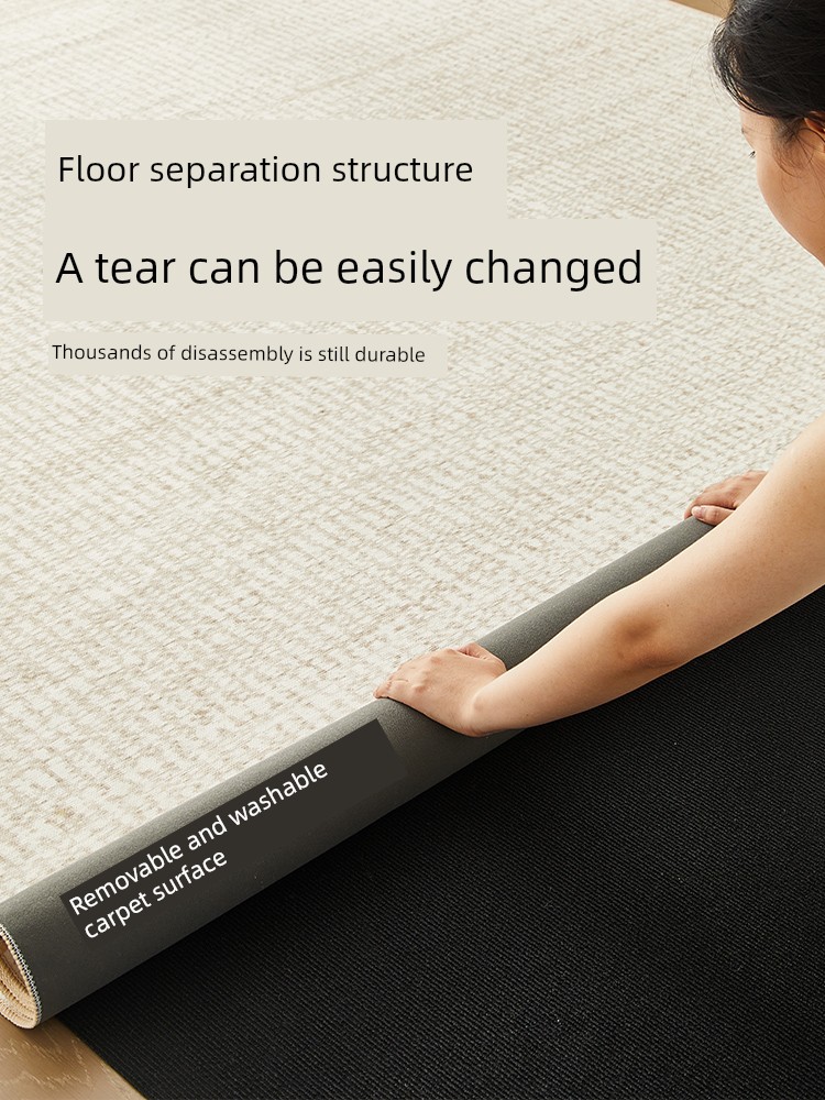 [Double-Layer Removable and Washable Machine Wash] Carpet Living Room 2025 New Arrival Carpet Living Room Accessible Luxury Fancy Minimalist