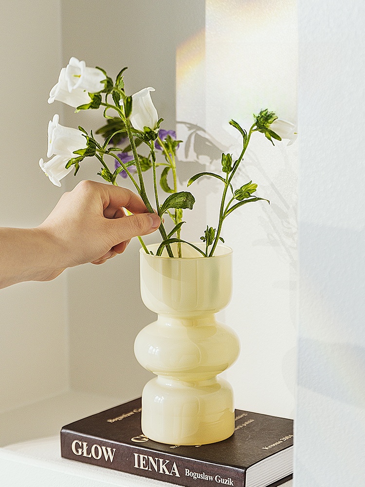 Modern Housewife Glass Vase Transparent Aquatic Green Plant Flower Arrangement Niche Style Fancy Ins Style Living Room Decorative Ornaments