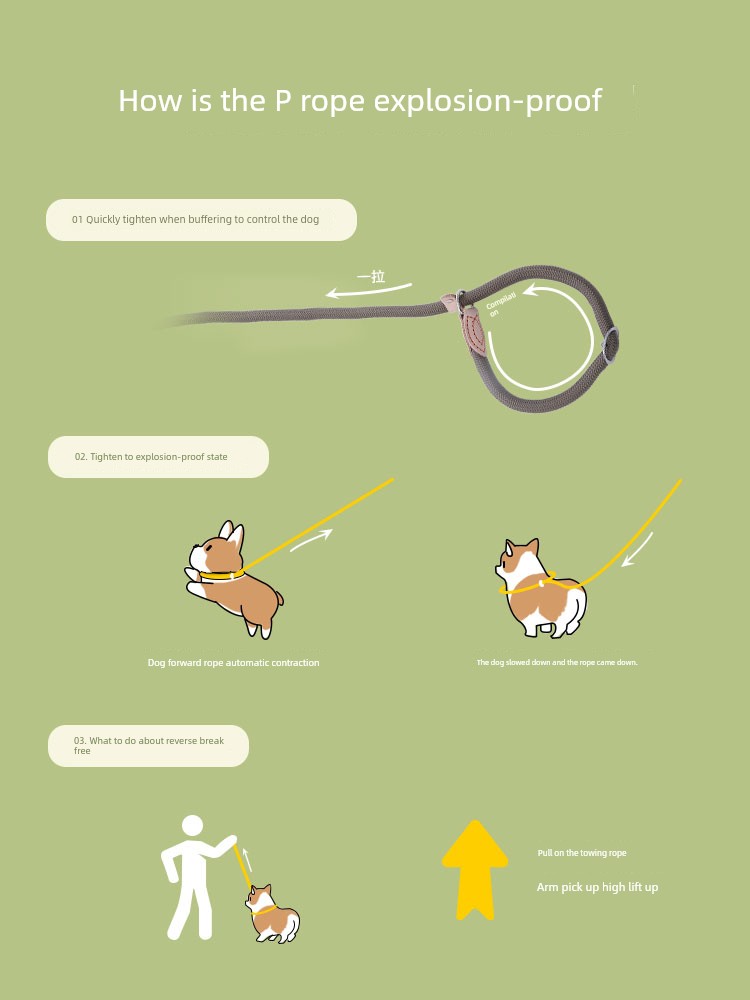Collar Medium Size Explosion-Proof Corgi Dog Hand Holding Rope
