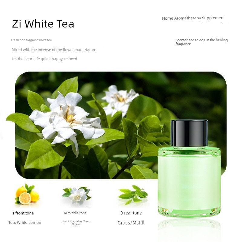 [Special for Purifying Aromatherapy] Aromatherapy Oil Replenisher Super Large Capacity Pure Natural Plant Extract to Remove Odor