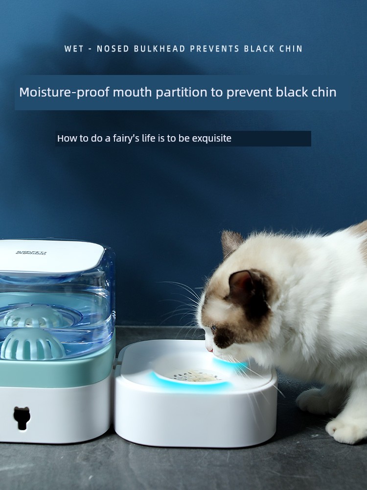 Pet Cat Bowl Dog Bowl Double Bowl Cat Food Holder Dog Basin Anti-Tumble Cat Protection Spine Dog Automatic Drinking Supplies