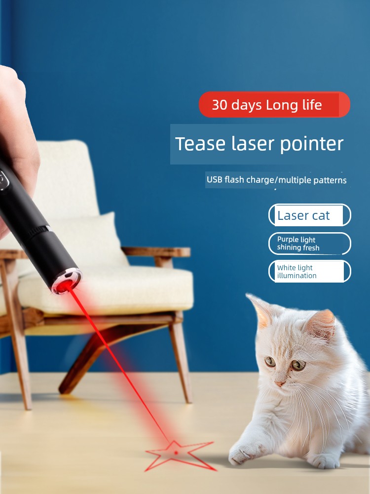 Toy Laser Light Infrared Flashlight Cat Teaser