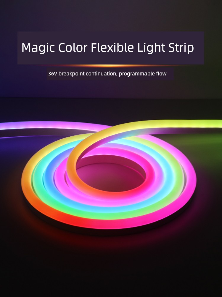 36V Light Strip Magic Color Chasing Light Running Water Horse Dynamic Colorful Programmable Outdoor Outdoor Low Voltage Neon LED Light Bar
