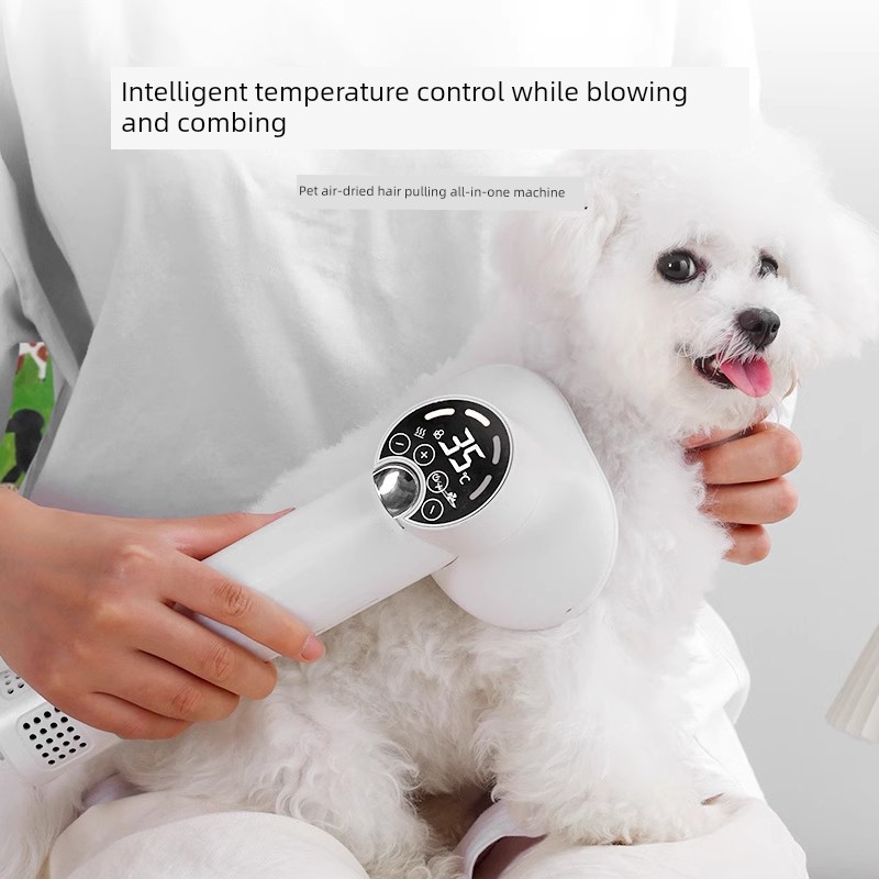 Smart Teddy Bichon Cat Pomeranian Pet Hair Dryer