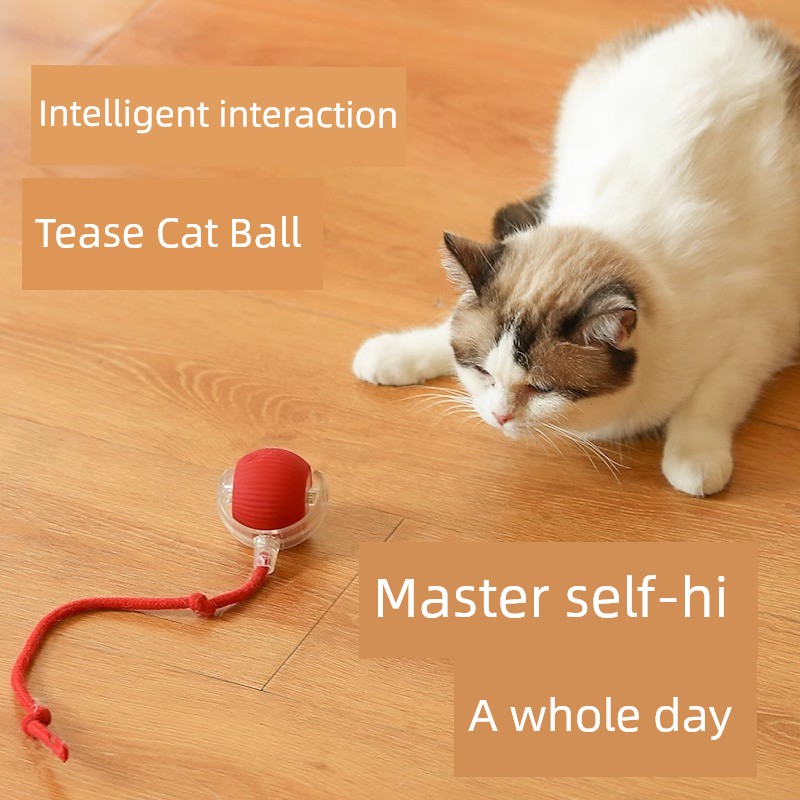 Toy Self-Hi Relieving Stuffy Consumption Electric Rolling Ball Cat