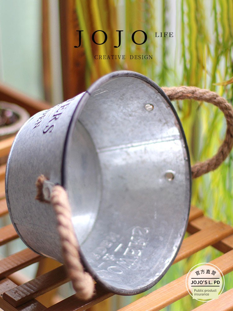 Jojo's L. Pd. FOREST. American-Style Iron and Succulent Flowerpot Retro Distressed Wrought Iron Creative | Zhou Sen