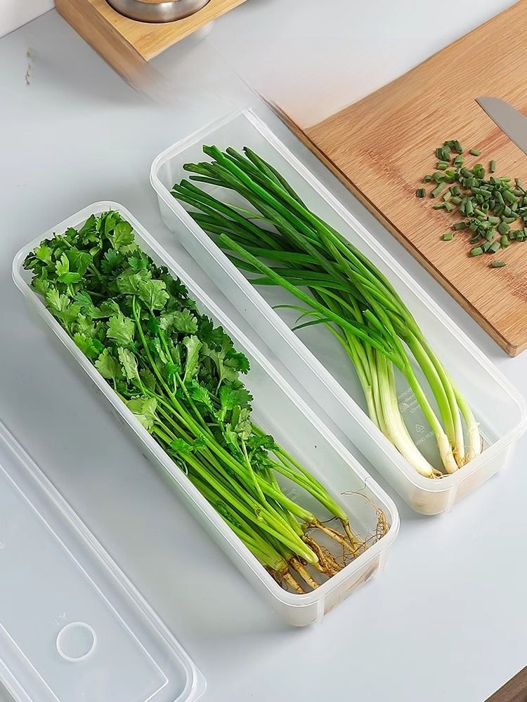 Coriander Green Chinese Onion Refrigerator Storage Coriander Noodles Crisper