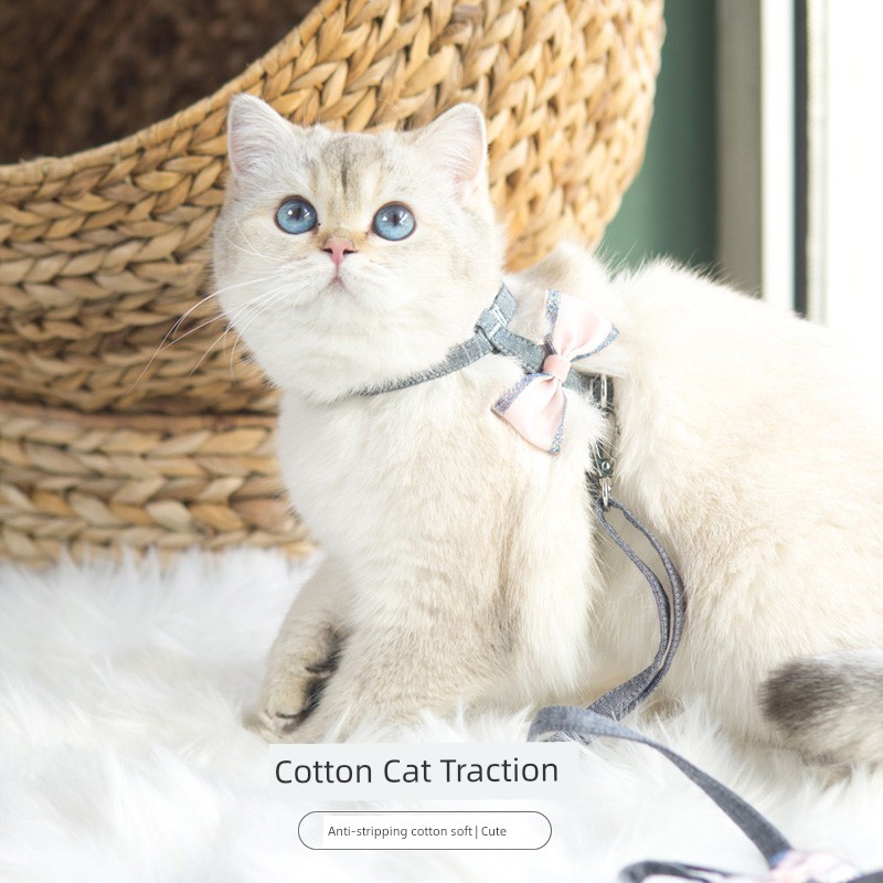 Petlimit Pet Cat Outing Cat Leash Hand Holding Rope Chest and Back Cute Ragdoll Vest Anti Breaking Loose Bolt Cat