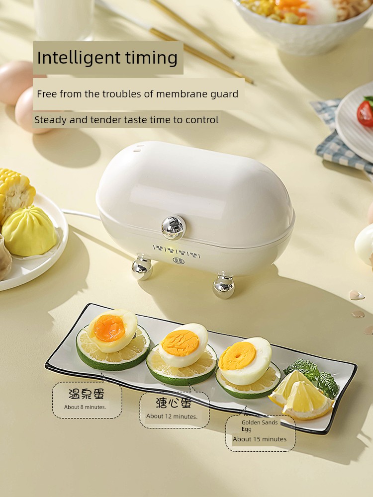Egg Steamer Egg Boiler 2024 New Arrival Automatic Power off For Home Small Boiled Eggs Handy Gadget Dormitory One Person Mini