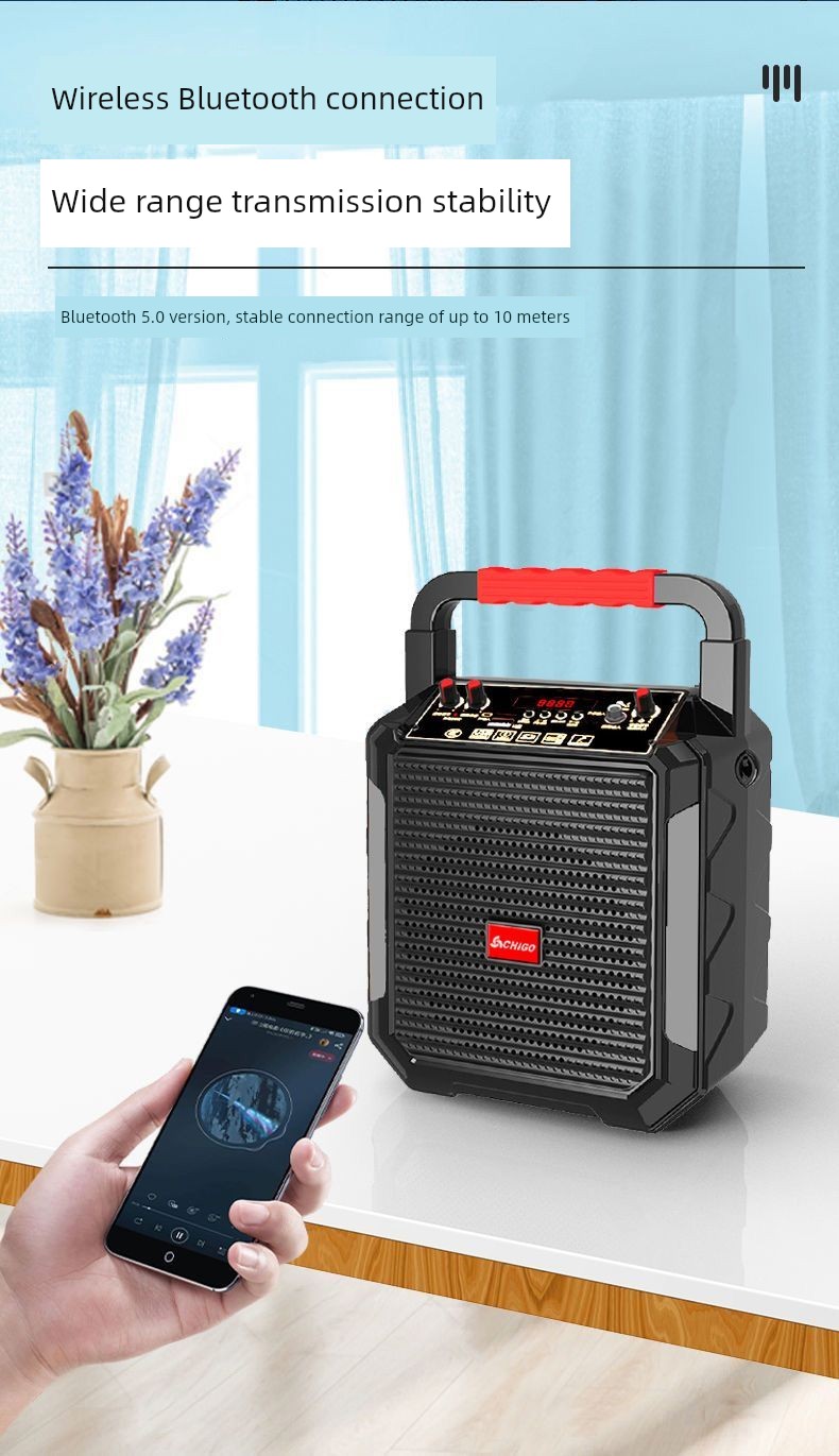 Chigo Portable Bluetooth Karaoke Speaker - Extra Bass