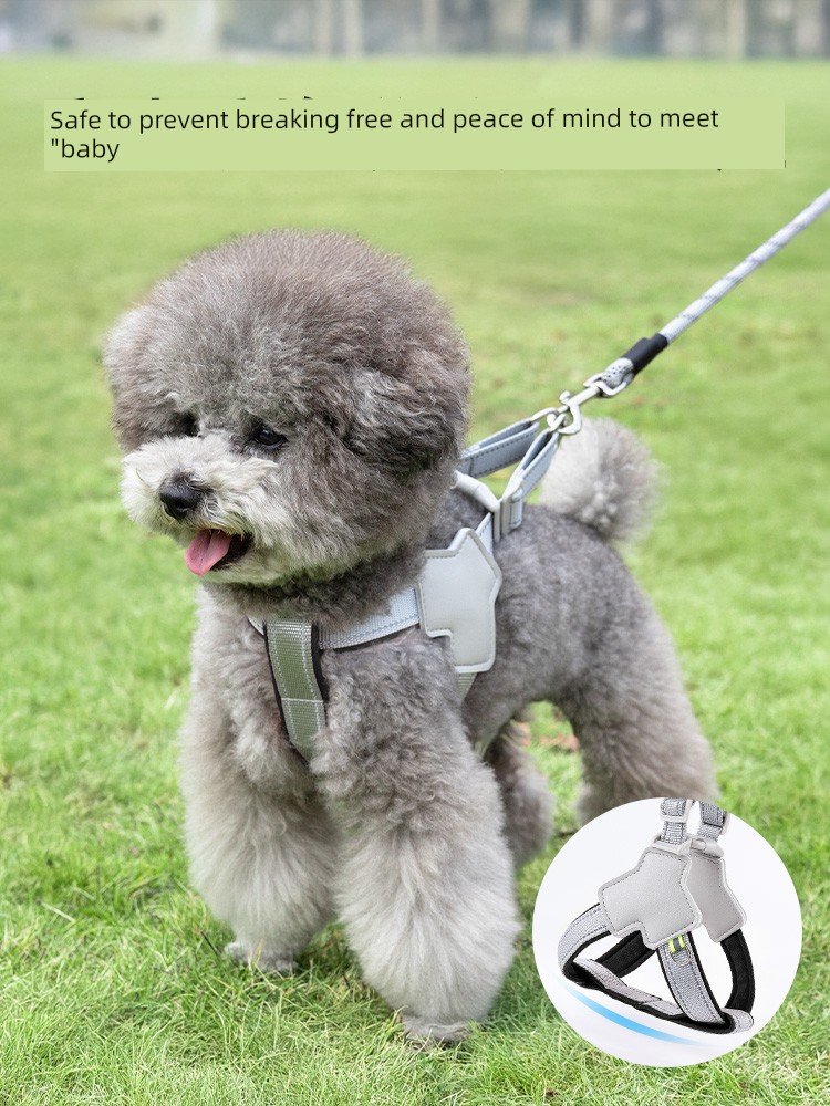 Dog Hand Holding Rope Chest and Back Style Dog Chain Small and Medium-Sized Dogs Pet Strap Corgi Teddy Bichon Walking Dog Dog Leash