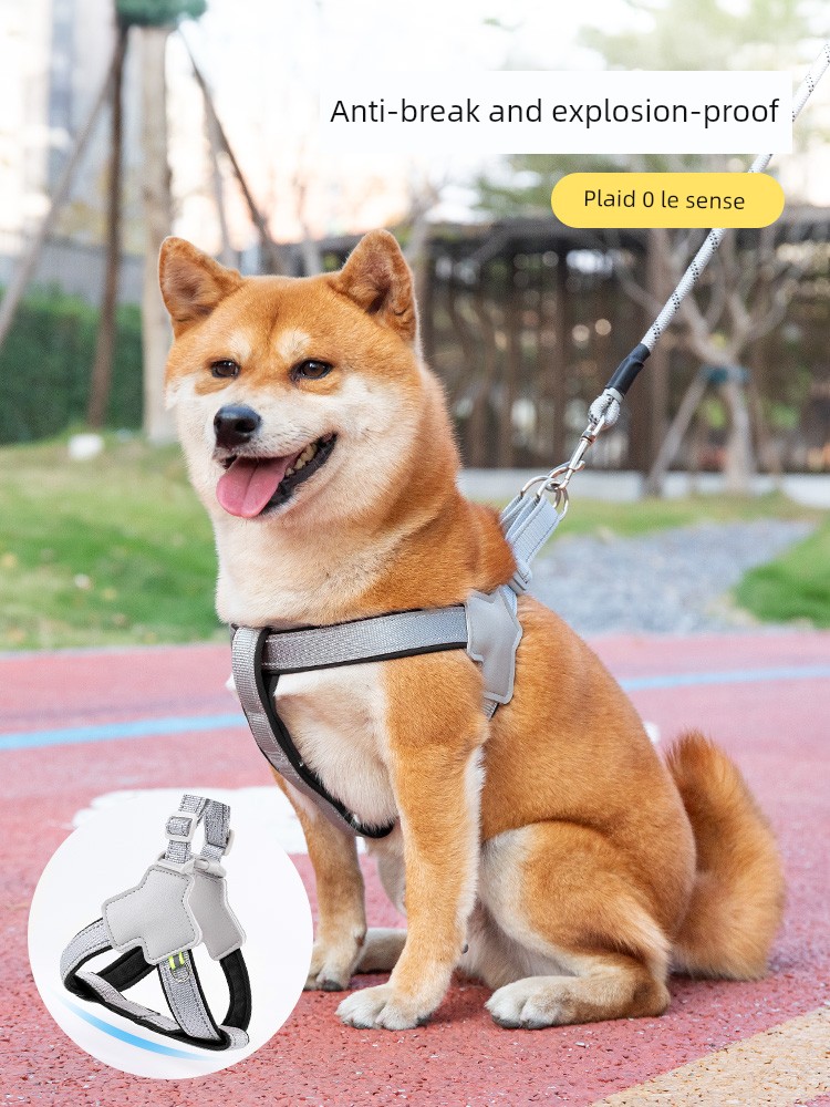 Dog Hand Holding Rope Chest Back Small and Medium-Sized Dogs Dog Chain Pet Strap Corgi Teddy Bichon Walk the Dog Dog Leash