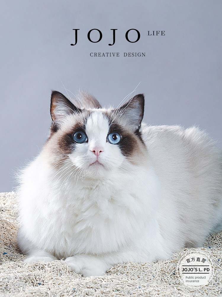 Jojo's L. Pd. Mr. Grocery. Pet Cat Litter Self-Inspection Particles Cat Hematuria Self-Inspection | Praise
