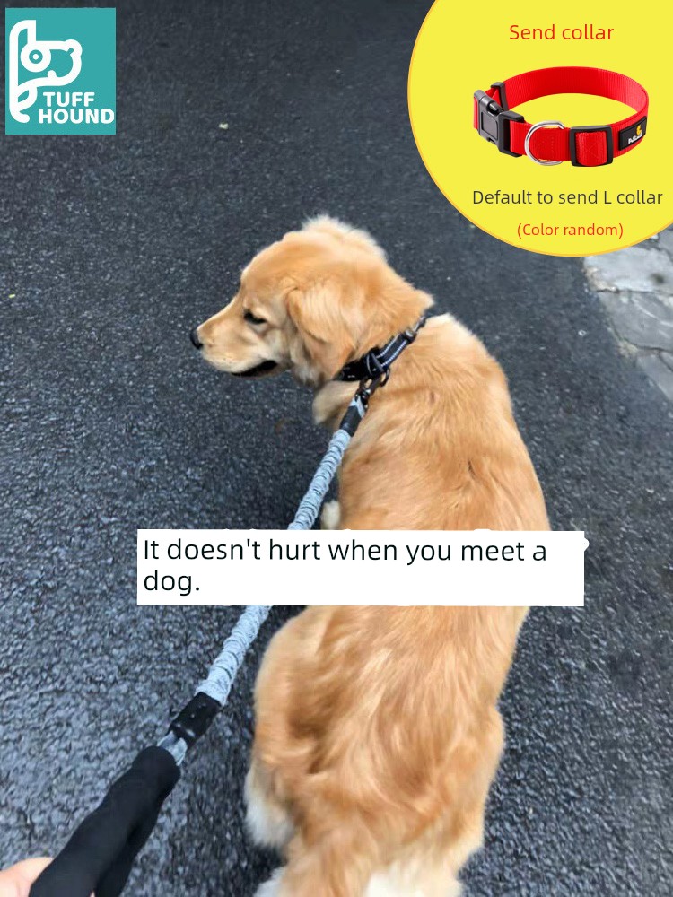 Dog Traction Rope Chain Medium Collar Explosion-Proof