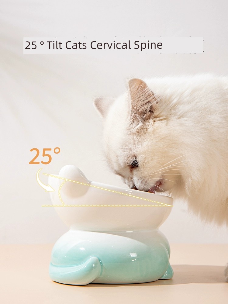 Summer Eating and Drinking Water Integrated Large Diameter Dedicated Cat Bowl