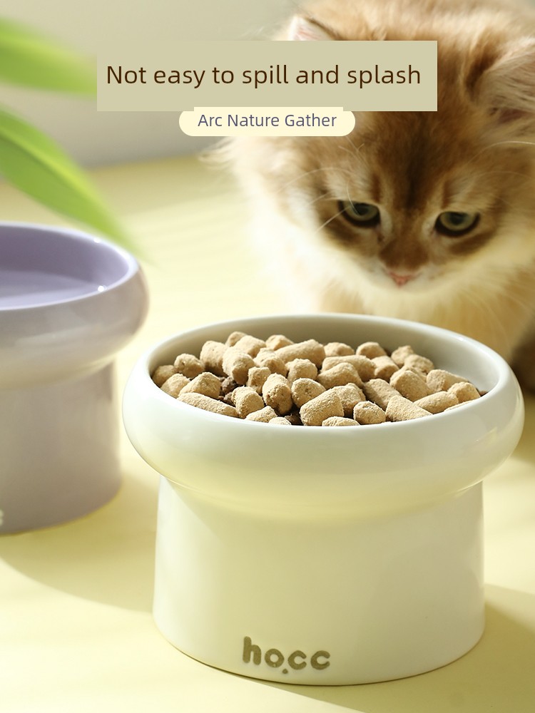 Ceramic Food Basin Large Diameter High Leg Cat Bowl