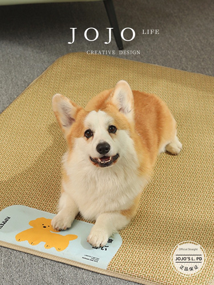 Jojo's L. Pd. Bright. Pet Mat Pad Anti-Scratch Cat Mattress Cool Breathable Cooling | Youxi