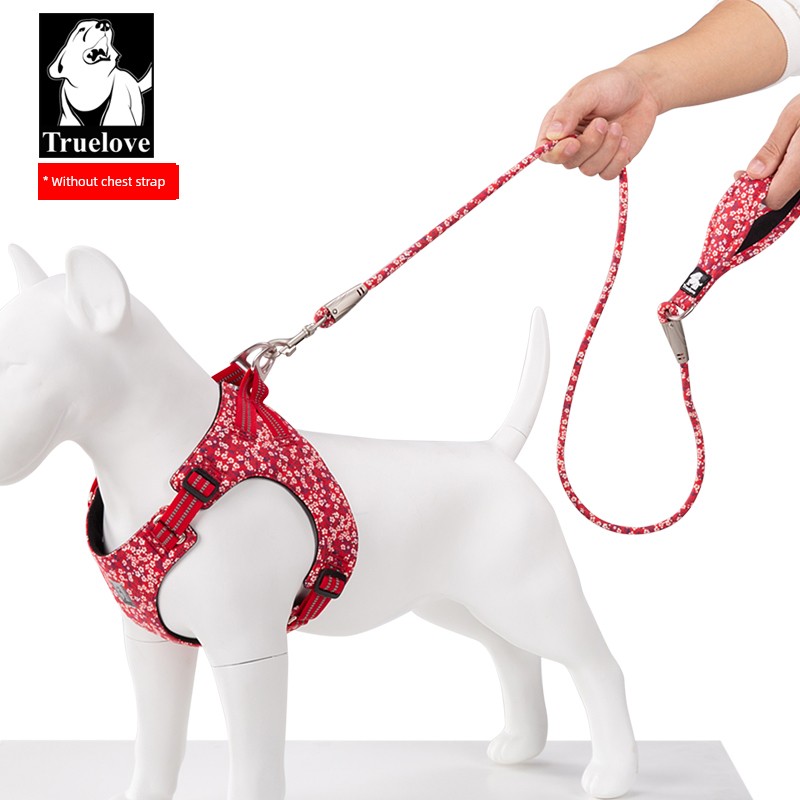 Truelove 狗狗手持绳 链条狗绳 P链 宠物用品 防断裂 宽松 小型、中型和大型犬 金毛猎犬