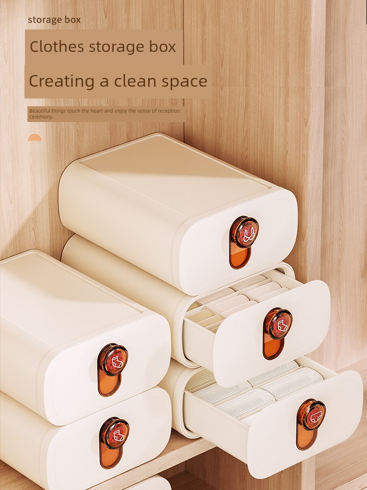 Underwear Storage Bag Underwear Bra Storage Box Drawer Socks Storage Box Dormitory Storage Wardrobe Storage Artifact